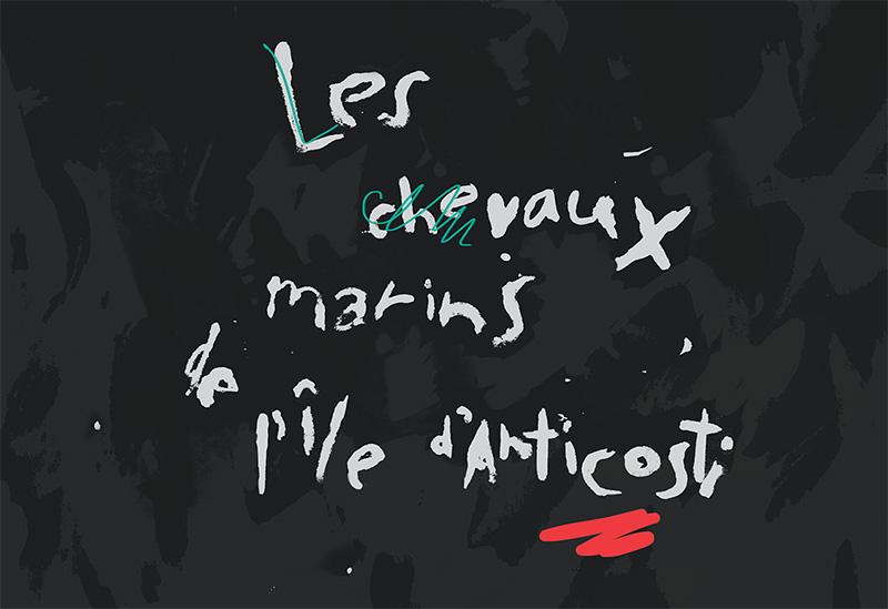 chevaux-marins-typographie