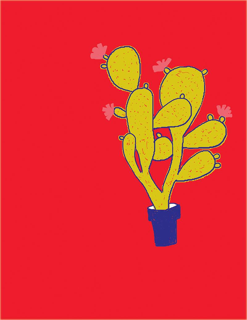 citta