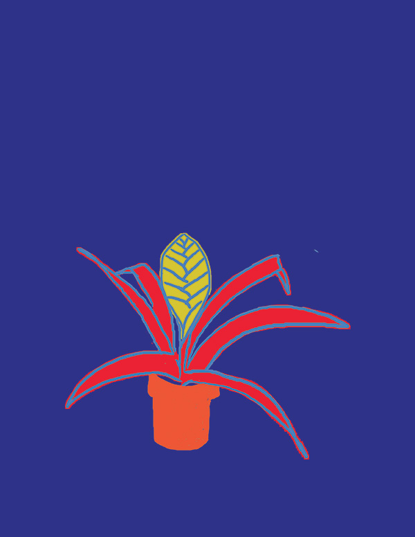 citta